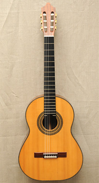 Konzertgitarre nach Hernández y Aguado